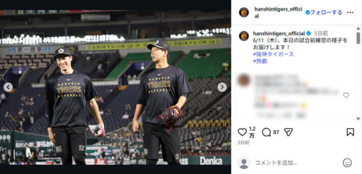 阪神タイガース5