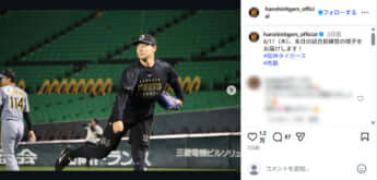阪神タイガース6