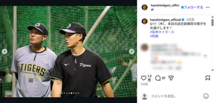 阪神タイガース7