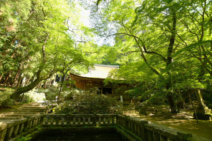 室生寺1