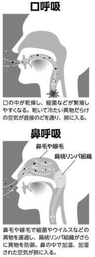 口呼吸と鼻呼吸