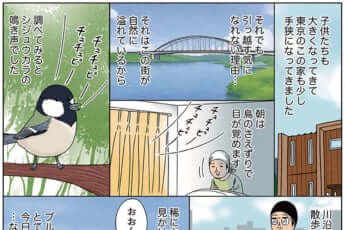 miyakawa_350（eye）