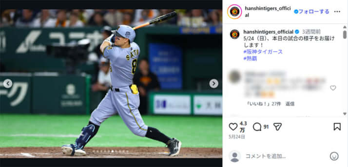阪神タイガース