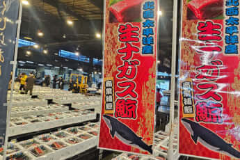 仙台市中央卸売市場（eye）