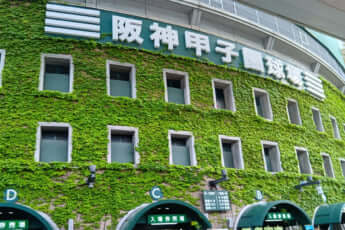 甲子園球場イメージ