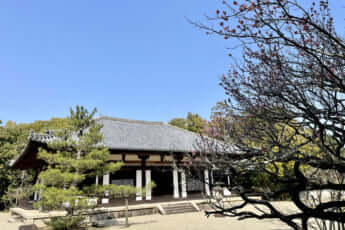 秋篠寺イメージ
