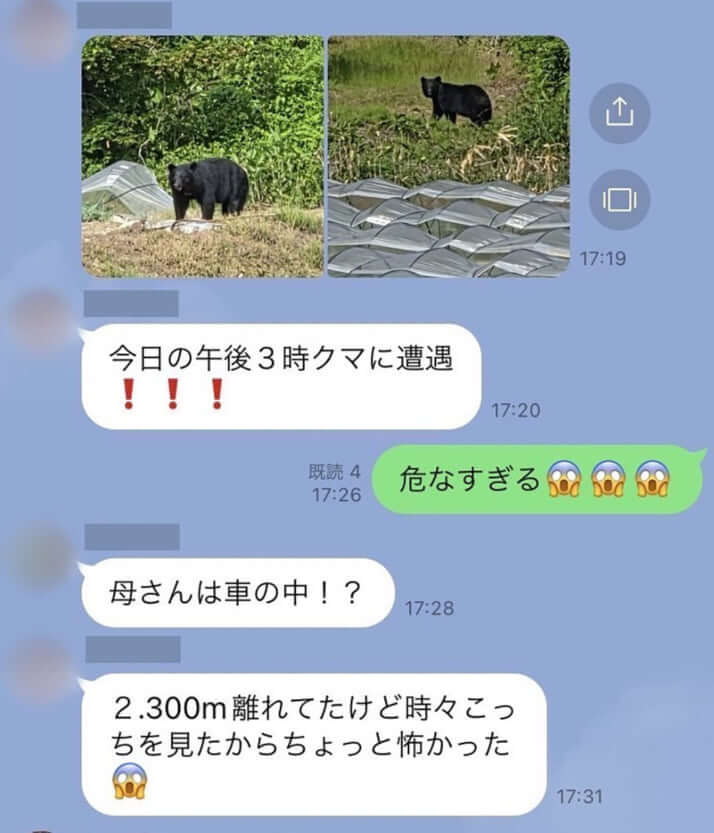 クマ