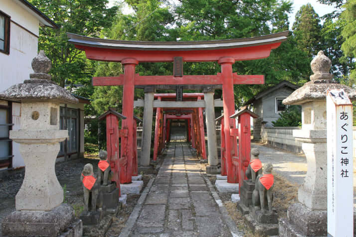 クマ