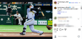 阪神タイガース