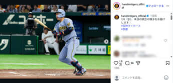 阪神タイガース
