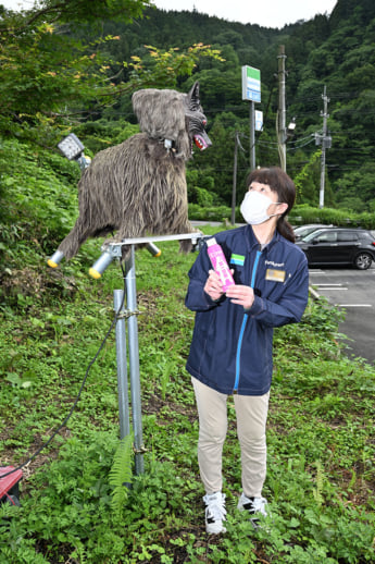 26年26号グラビア クマ_6