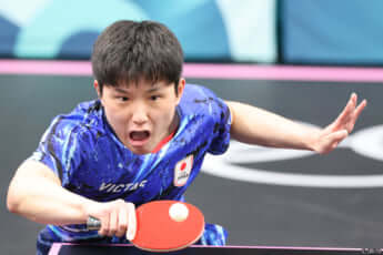 張本智和