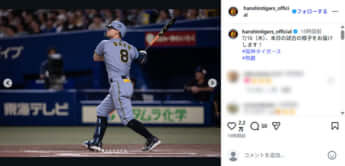 阪神タイガース