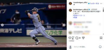 阪神タイガース
