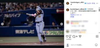 阪神タイガース