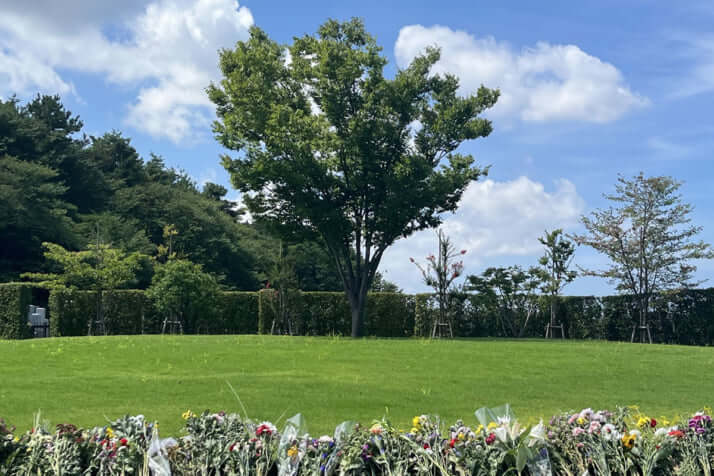 墓_2_樹木葬