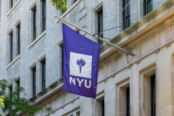 NY大学