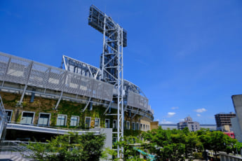 甲子園イメージ