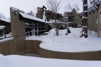 旭山動物園5