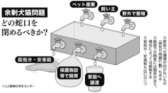 蛇口モデル