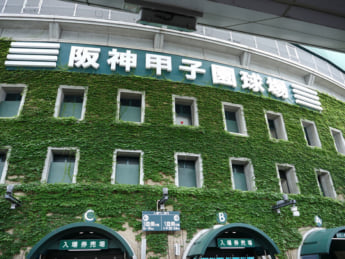 甲子園イメージ
