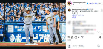 阪神タイガース1
