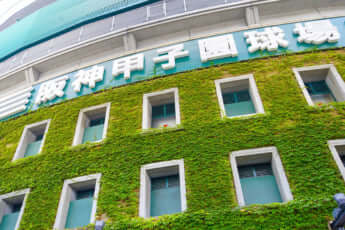 甲子園イメージ