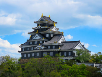岡山城イメージ