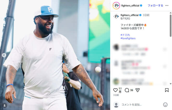 北海道日本ハムファイターズ