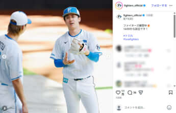 北海道日本ハムファイターズ