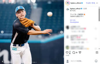北海道日本ハムファイターズ
