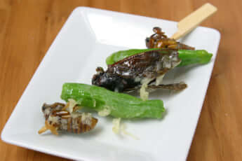 親子串揚げ