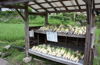 無人販売所3