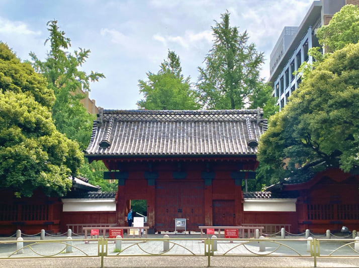 東京大学イメージ