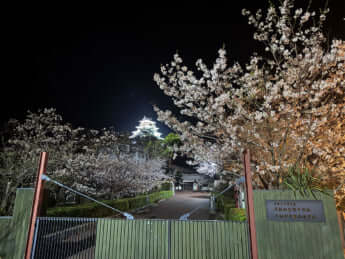 早稲田佐賀中学校・高等学校