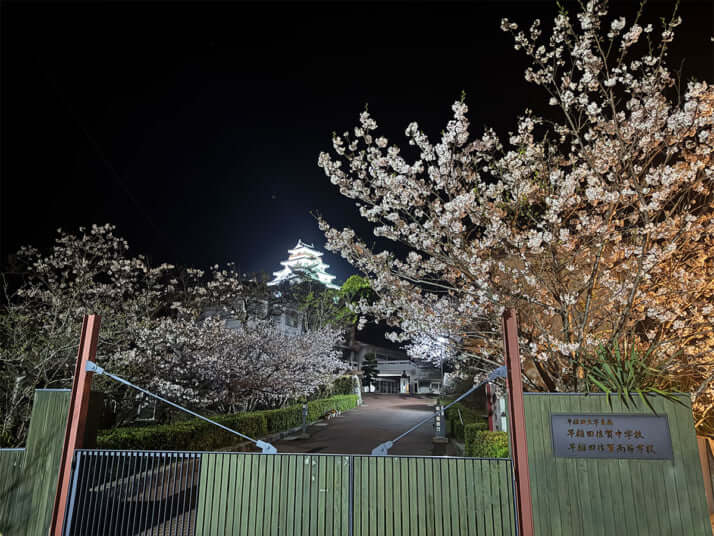 早稲田大学イメージ