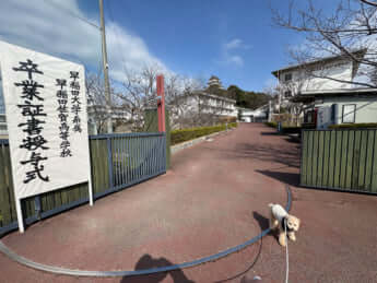 早稲田佐賀中学校・高等学校