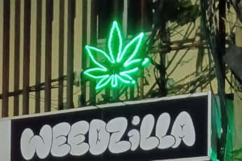 大麻販売店