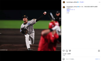 阪神タイガース1