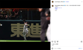 阪神タイガース3