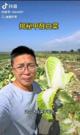 中国産野菜1