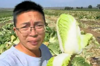 中国産野菜1（eye）