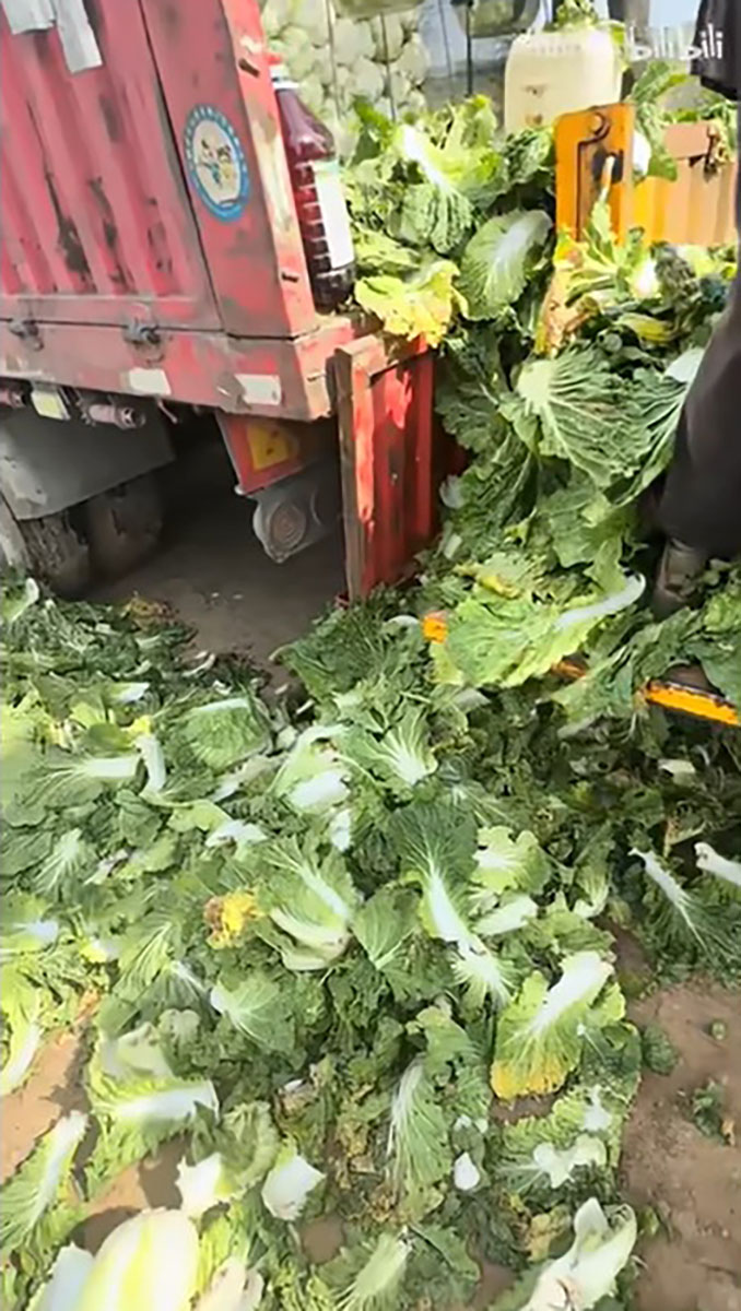 中国産野菜5