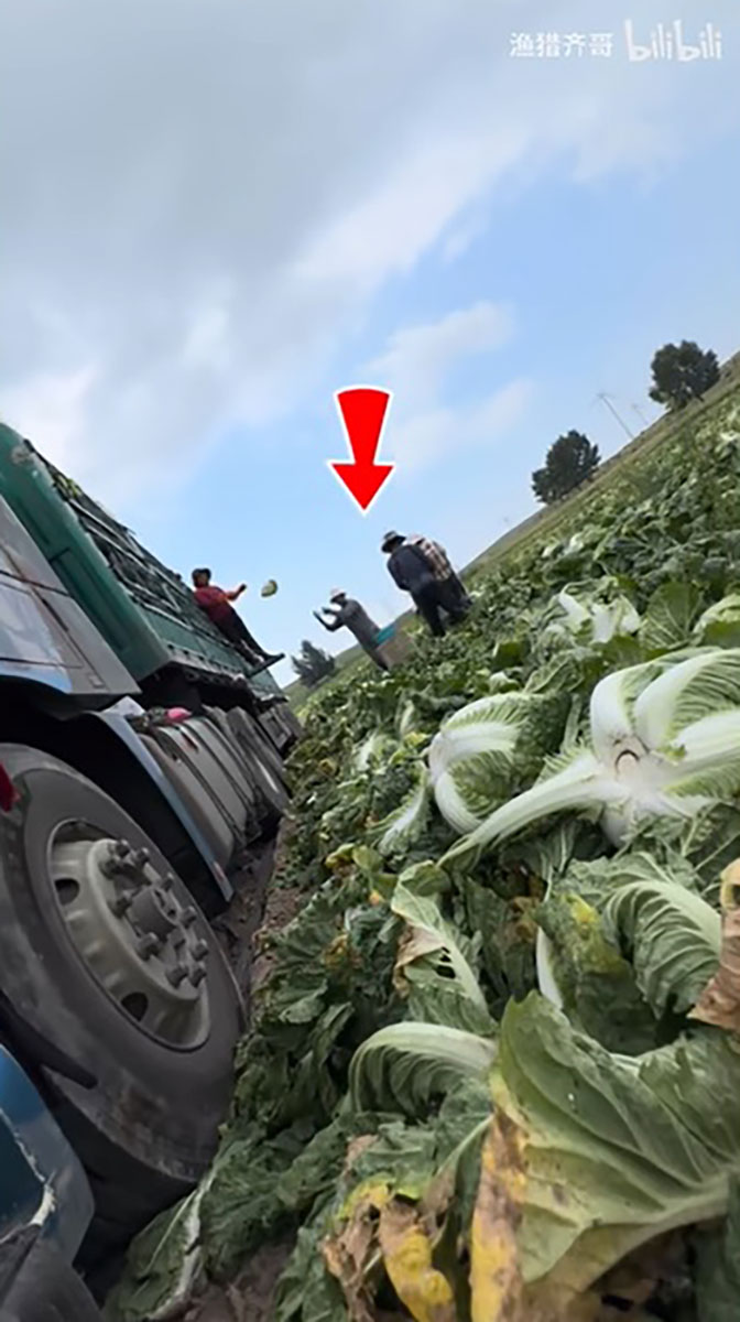 中国産野菜6