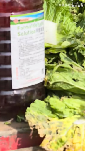 中国産野菜7