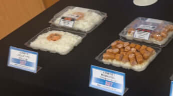 だけ弁当5