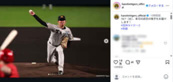 阪神タイガース1