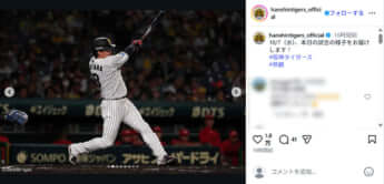 阪神タイガース2