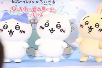 ハチワレ、ちいかわ、うさぎ