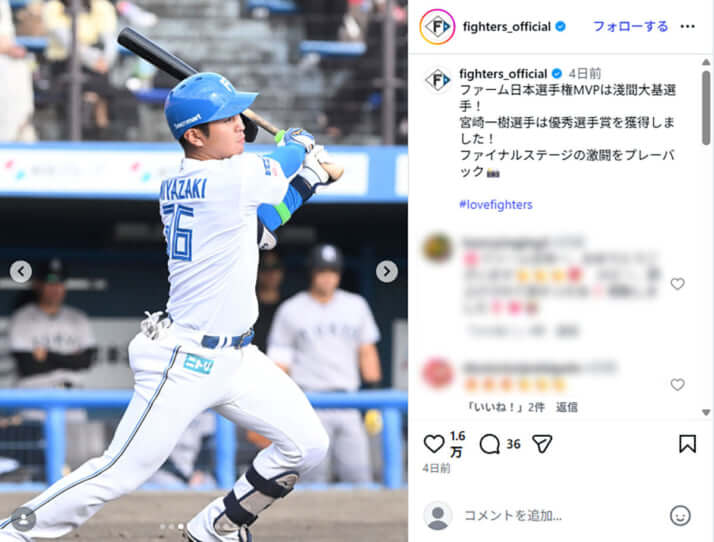 日本ハムファイターズ1